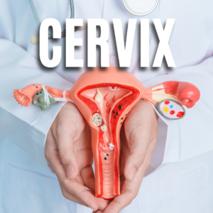 Cervix App