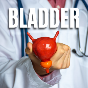 Bladder App