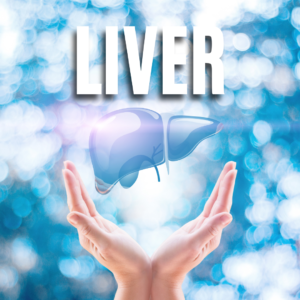 Liver App