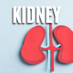 Kidney App
