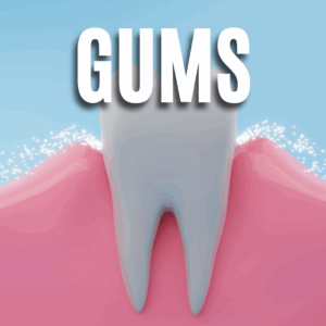 Gums App