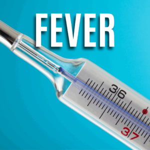 Fever App