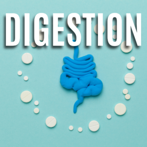 Digestion App