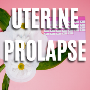 Uterine Prolapse App