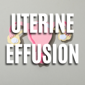 Uterine Effusion App