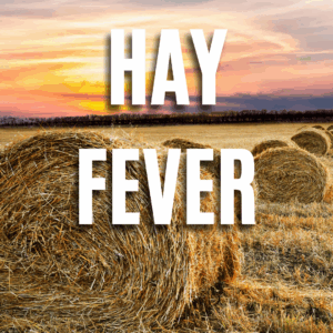 Hay Fever App