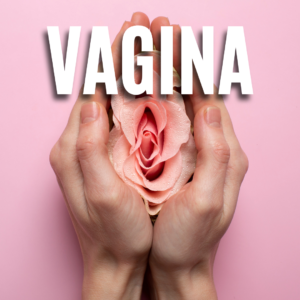 Vagina App