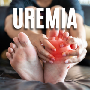 Uremia App