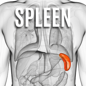 Spleen App