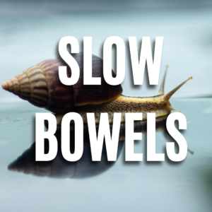 Slow Bowels App