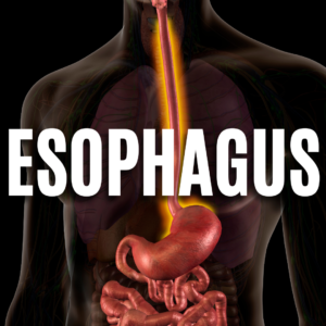 Esophagus App