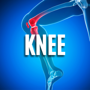 Knee QUIZ