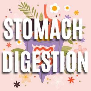 Stomach Digestion QUIZ