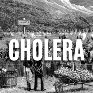 Cholera QUIZ