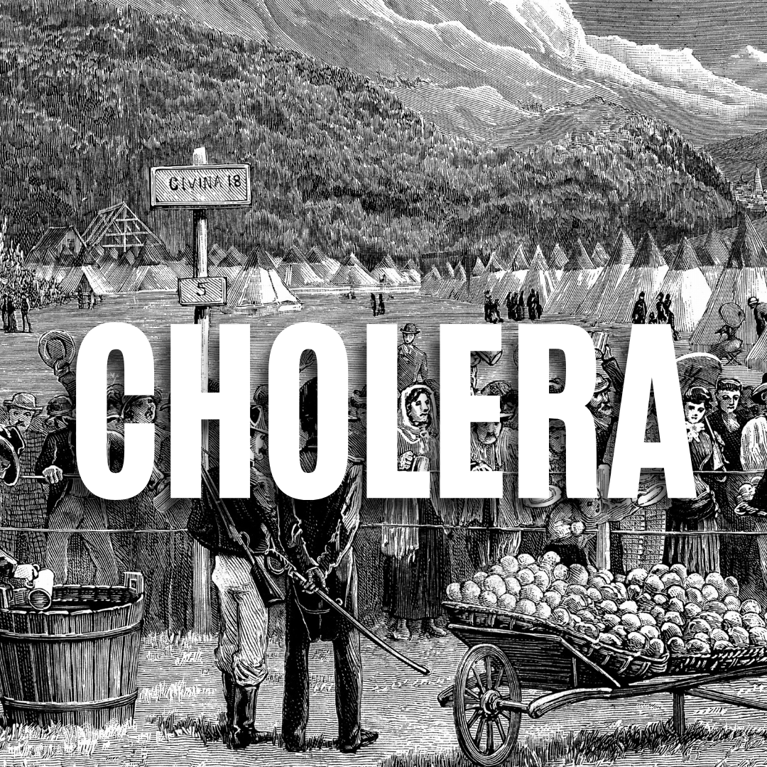 Cholera QUIZ