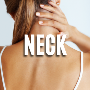 Neck QUIZ