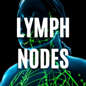 Lymph Nodes QUIZ