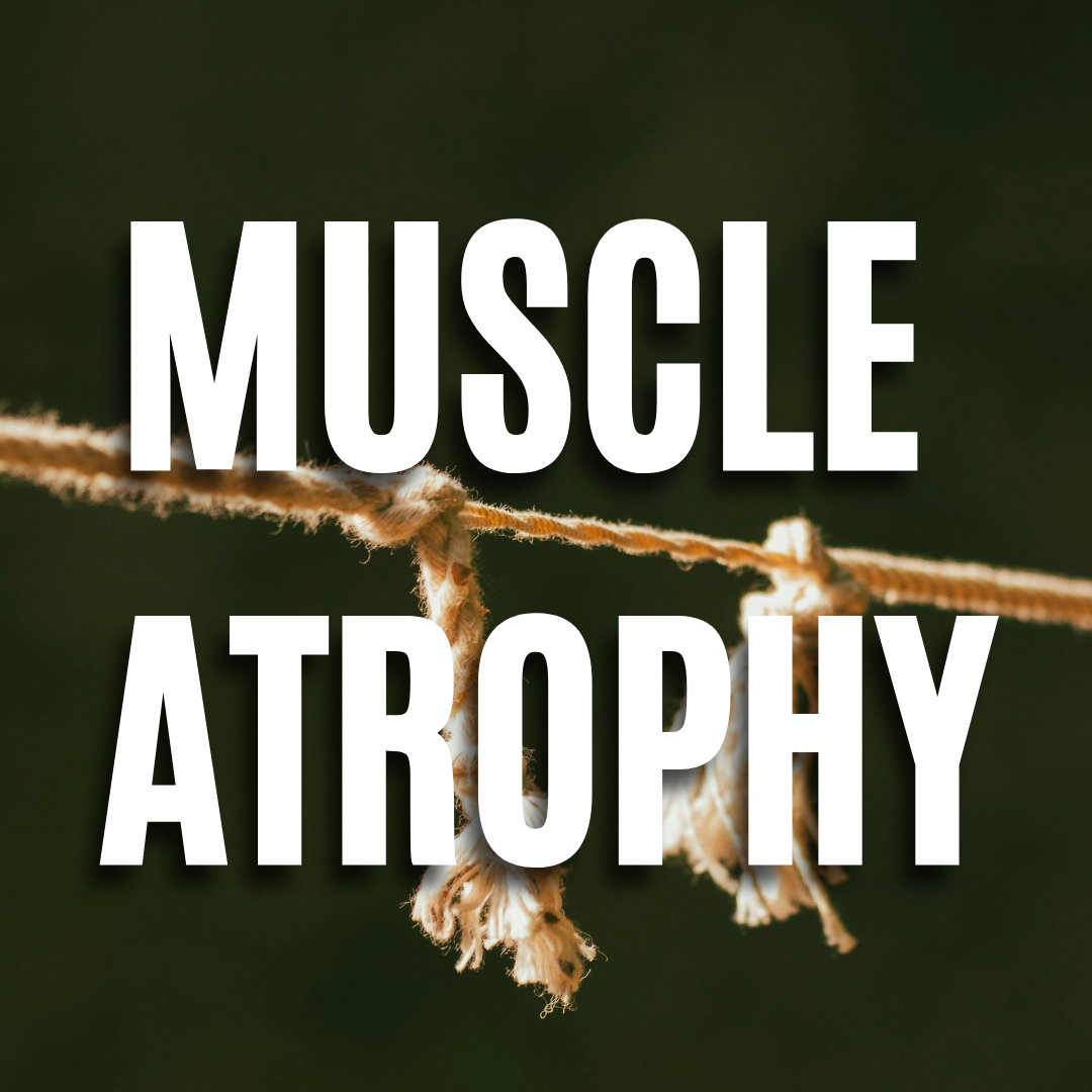 Muscle Atrophy QUIZ