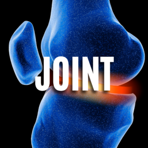 Joint QUIZ